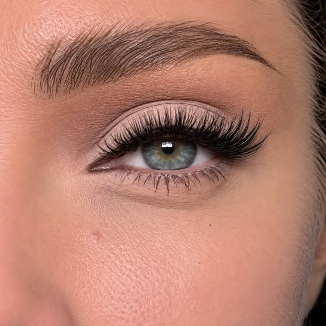 BLUEBERRY Big Pack 10D Individual Lash Clusters - D Curl