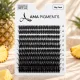 Gene False Big Pack PINEAPPLE