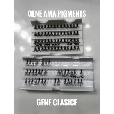 SET 100 Flare Eyelashes Knot Free