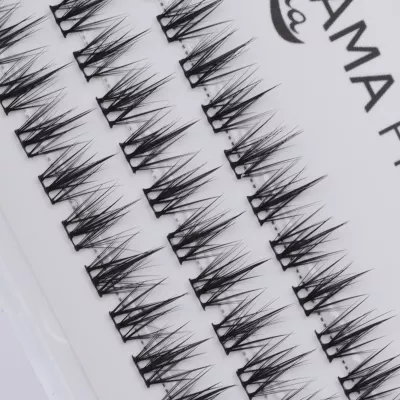 Gene False Small Pack DAISY 10 mm Ama Pigments Gene False Small Pack DAISY 10 mm Ama Pigments