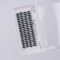 False Eyelashes Small Pack LILY 14 mm Ama Pigments