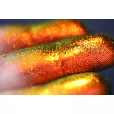 Ruby's Call of Magic by Tania Maxim Ruby's Call of Magic by Tania Maxim