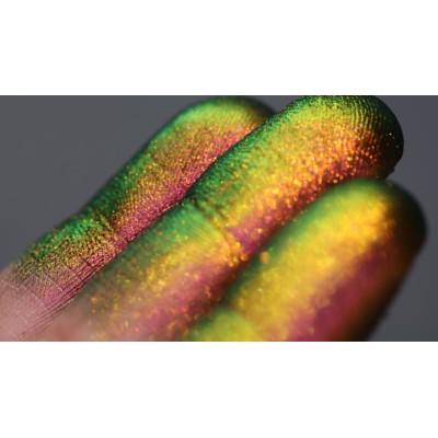 Royal Crown of Perals by Tania Maxim