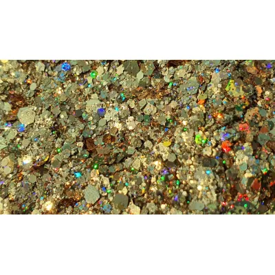 Magnetism by Paulina Buldumea Magnetism by Paulina Buldumea