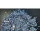Star Dust by Paulina Buldumea Star Dust by Paulina Buldumea