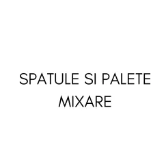 Spatule si Palete Mixare