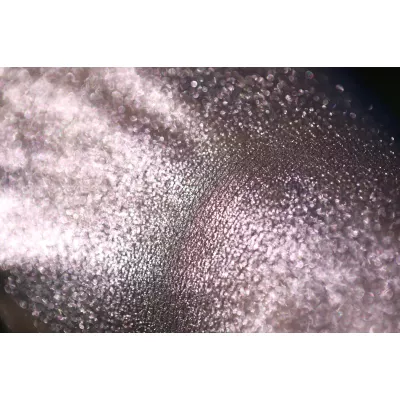 Rose Infusion By Angelica Cicu Rose Infusion By Angelica Cicu