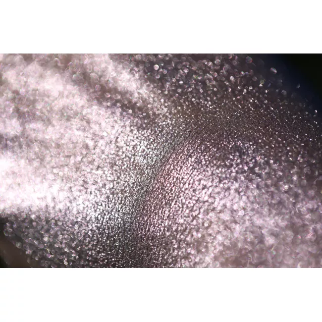 Rose Infusion By Angelica Cicu Rose Infusion By Angelica Cicu