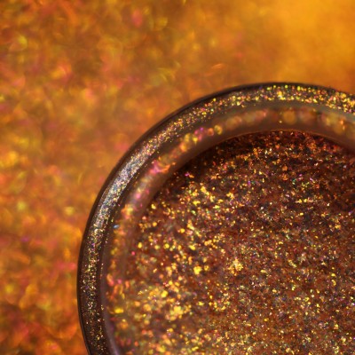 Glided By Elena Nicola