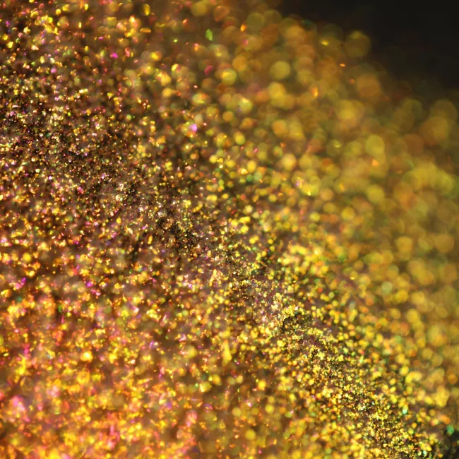 Glided By Elena Nicola Glided By Elena Nicola