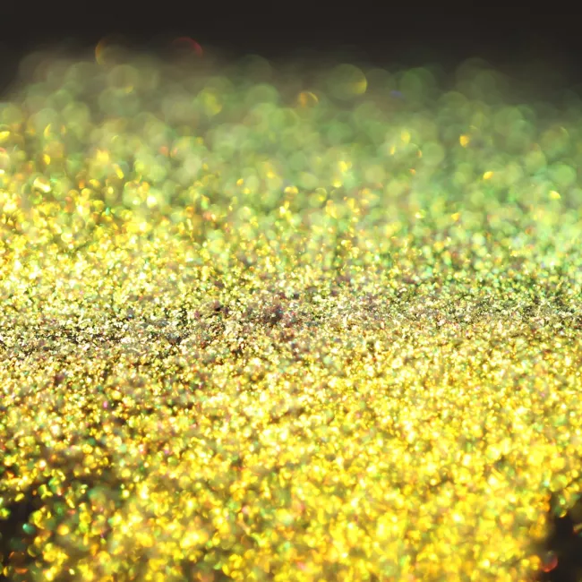 Glided By Elena Nicola Glided By Elena Nicola