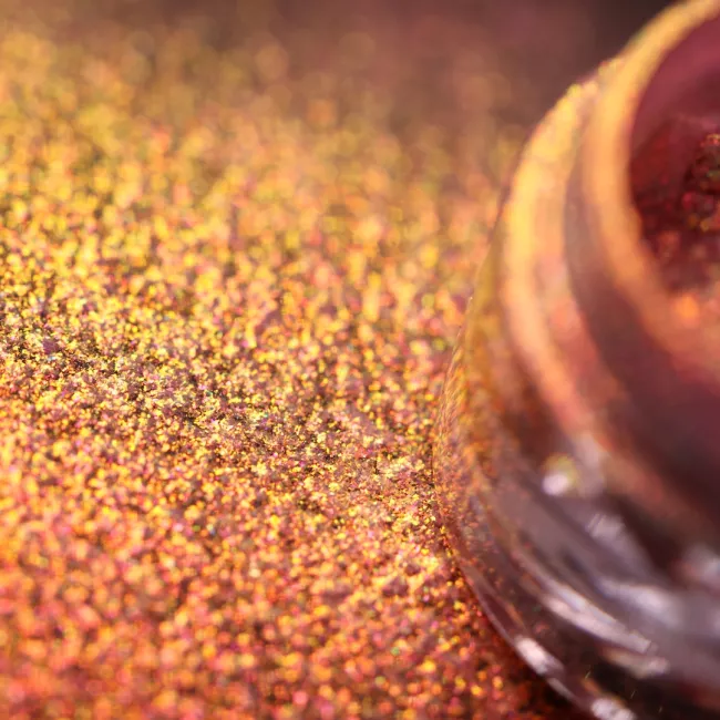 Coral By Elena Nicola